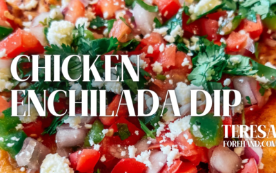 Chicken Enchilada Dip