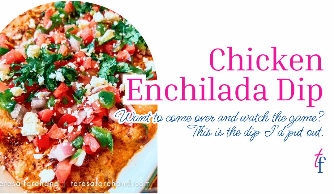 Chicken Enchilada Dip