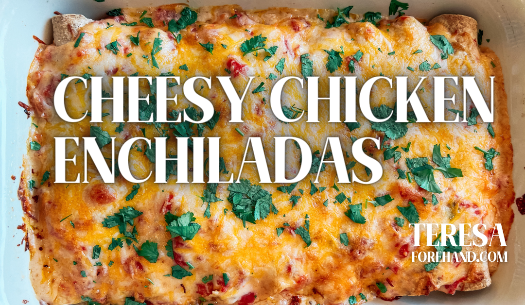 Cheesy Chicken Enchiladas