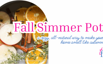 Fall Simmer Pot to Make Your Home Smell Like Autumn