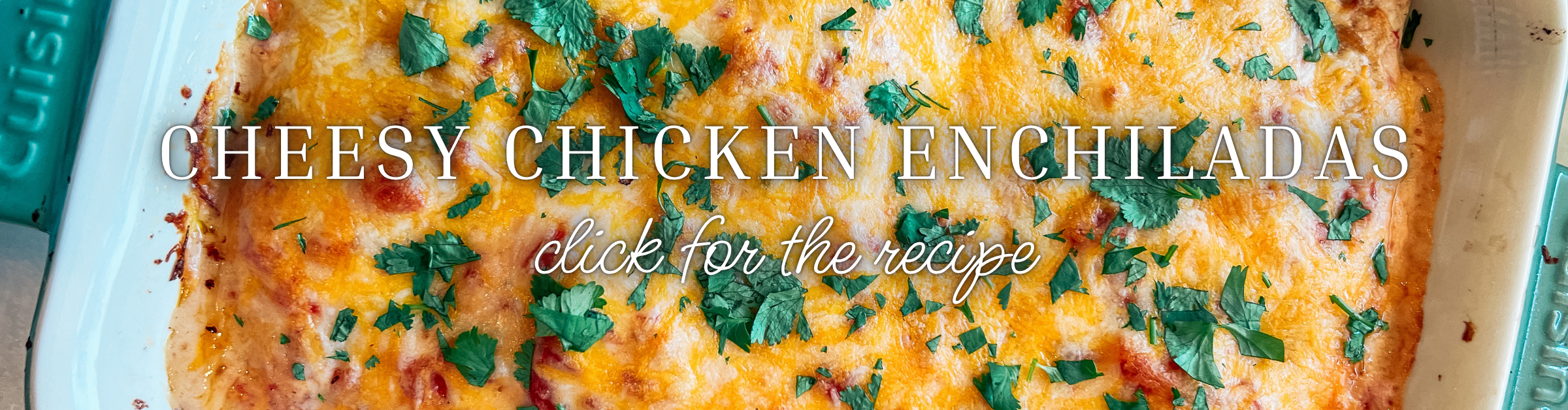 Cheesy Chicken Enchiladas