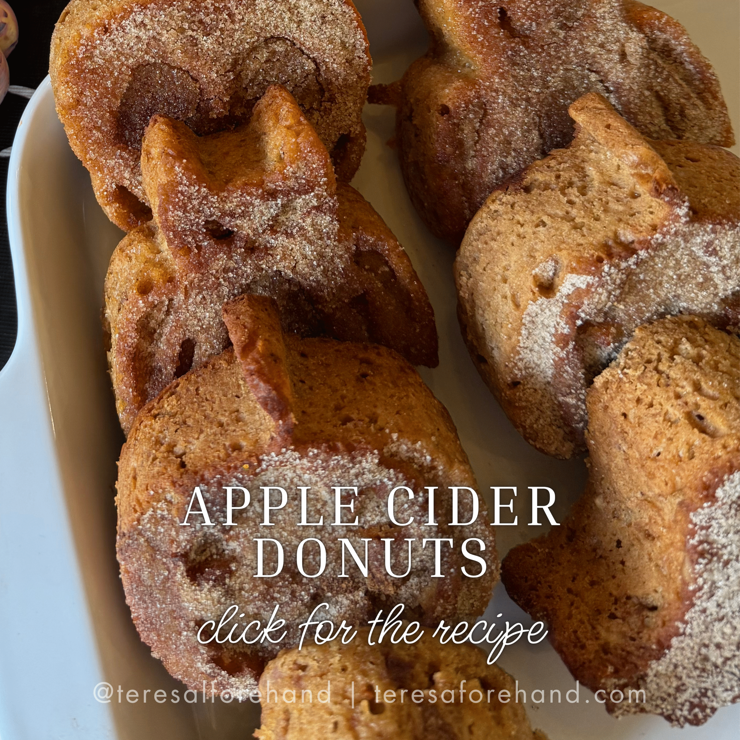 apple cider donuts
